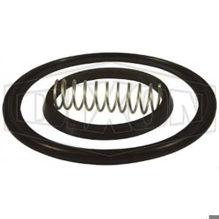 Dixon 1 in SPRING CK VLV REPAIR KIT FKM B46MP-RKV100